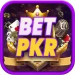 BetPKR Game Best Earning APP in Pakistan